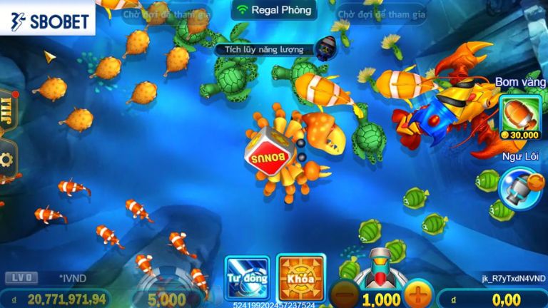 Chế độ bắn -> Đặt cược và trải nghiệm game