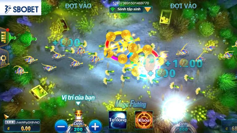 Hướng dẫn cá cược Mega Fishing tại Sbobet dễ hiểu