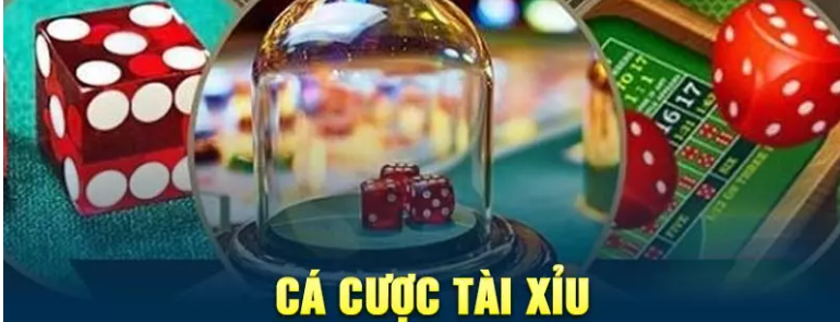 Kiểm tra kỹ phương thức giao dịch địa chỉ cung cấp tài xỉu online